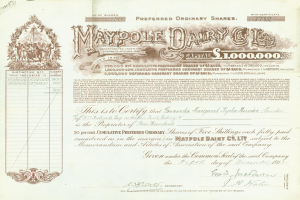 Ein altes Aktienzertifikat der Maypole Dairy Co., mit gedrucktem Text und handgeschriebenen Zahlen.