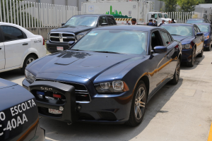 Gruppe von Polizeiwagen nebeneinander auf einem Parkplatz geparkt mit Menschen im Vordergrund auf der Straße stehend, ein Zaun, Bäume, Gebäude und einen klaren blauen Himmel im Hintergrund.