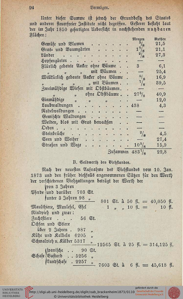 Titelblatt der 1873er Ausgabe der Universität Heidelberg, das die Geschichte der Universität detailliert.