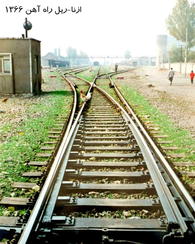 Ein Vogel sitzt auf einem Bahngleis umgeben von Gras und Steinen, mit Menschen in der Nähe, Bäumen, Polen, Gebäuden und dem Himmel im Hintergrund und Text oben auf dem Bild.
