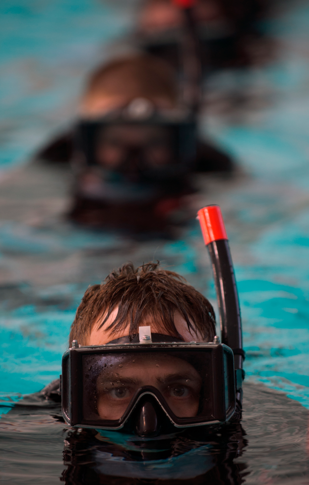 Eine Gruppe von Menschen, die in einem klaren Pool schwimmen, mit Taucherbrillen und Schnorcheln, vor einem unscharfen Hintergrund.