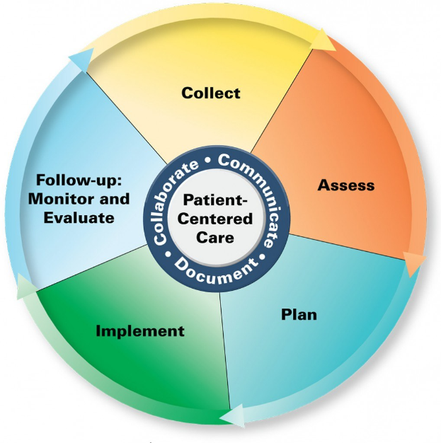 Kreisförmige Diagramm mit der Überschrift 'patientenorientierte Versorgung' und vier farbcodierten Abschnitten, jeweils mit einer spezifischen Pflegeart beschriftet.