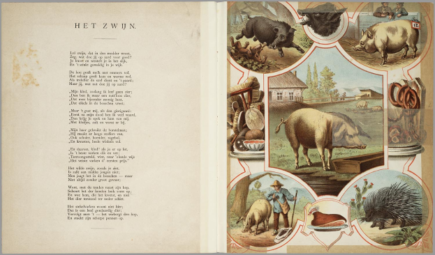 Ein aufgeschlagenes Buch mit Illustrationen von Schweinen, Hühnern und anderen Bauernhoftieren, mit Text auf der linken Seite.