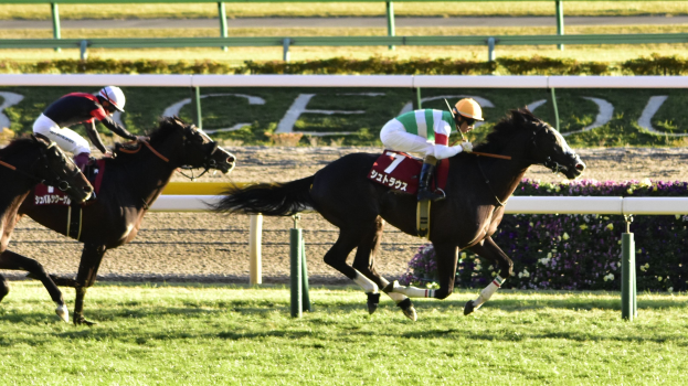 Zwei Jockeys in Helmen auf Pferden auf einer Strecke um die Wette reiten, umgeben von Grün, mit einer Begrenzung und einer Texttafel im Hintergrund.