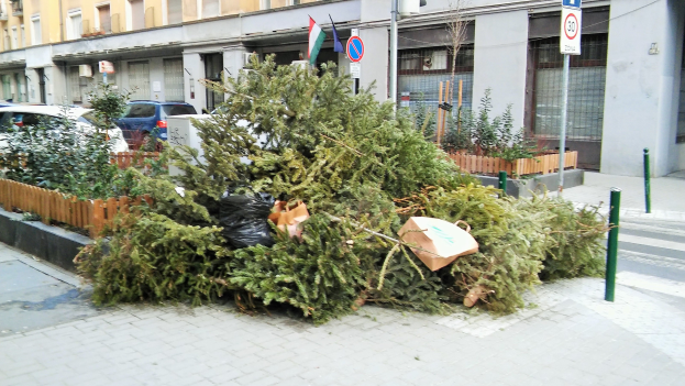 Ein Haufen Weihnachtsbäume an der Seite einer Straße, umgeben von Pflanzen, Pfählen, Brettern, Fahnen und Fahrzeugen, mit einem Gebäude mit Fenstern im Hintergrund.