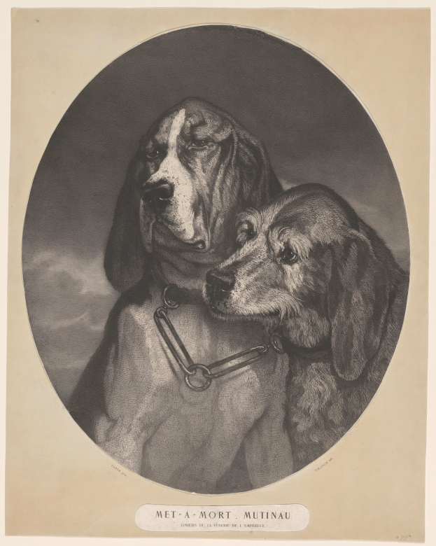 Ein Schwarz-Weiß-Foto von zwei Hunden, darunter ein Bluthund, mit einer Kette um den Hals und Text unten.