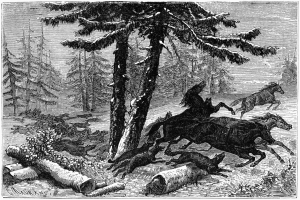 Eine Schwarz-Weiß-Zeichnung von Pferden, die durch einen Wald mit Bäumen und Holzstämmen laufen, und Text unten.