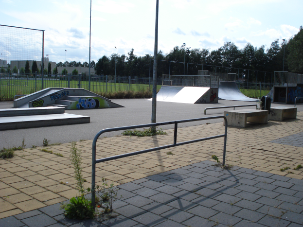 Eine Skate-Anlage mit Rampen, Geländern und verschiedenen Hindernissen, umgeben von Pflanzen, Gras, Pfählen, Bäumen und Gebäuden unter einem bewölkten Himmel.