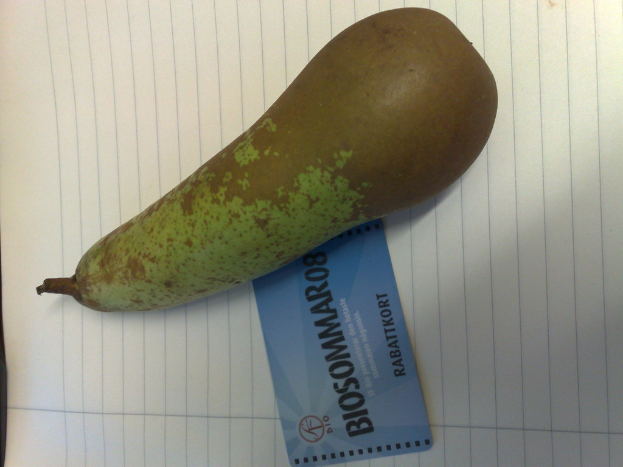 Eine Flaschenkürbis ist auf einem Blatt Papier mit einer Visitenkarte daneben gelegt.