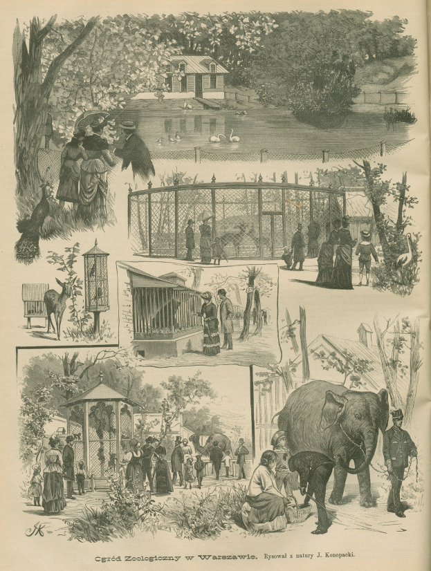 Ein altes Buchillustration, das Menschen und Tiere in einem Zoosetting zeigt, umgeben von Bäumen, Häusern, einem Zaun und anderen Gegenständen, mit Text unten.