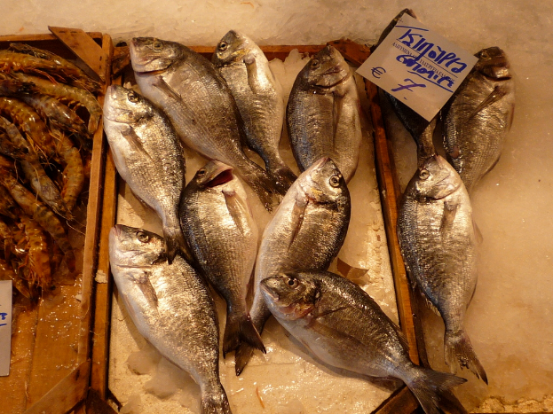 Holzschalen mit Fisch und Garnelen auf Eis, mit einem Papier auf der rechten Seite der Schalen.