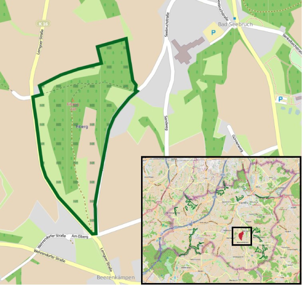 Eine detaillierte Stadtkarte, die einen zentralen grünen Bereich hervorhebt, der für die geplante Entwicklung markiert ist, mit umliegenden Straßen, Gebäuden und Sehenswürdigkeiten.