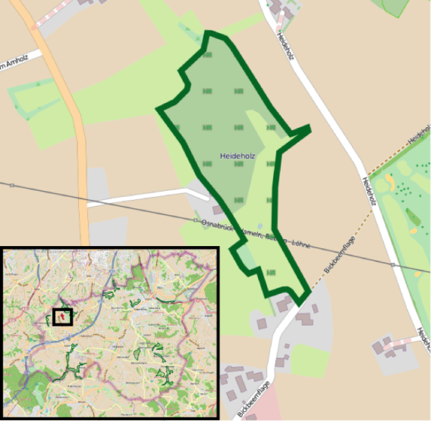 Eine detaillierte Karte von Heideholz, Deutschland, die einen grünen Bereich als geplanten Standort hervorhebt, mit Straßen, Gebäuden und Sehenswürdigkeiten.