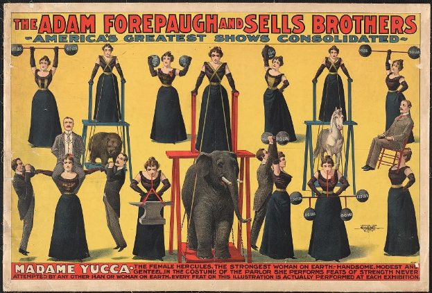 Plakat für Adam Forepaugh und Sells Brothers Circus mit Performern auf Hockern und einem Elefanten in der Mitte und Werbetext.