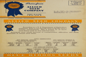Anzeige der alten Saatgutgesellschaft Allied Seed Company mit einer blauen Schleife und Text auf altem Papier.