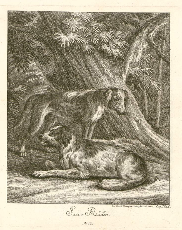 Zwei Hunde in einem Waldgebiet mit Bäumen im Hintergrund und Text am unteren Rand des Bildes.