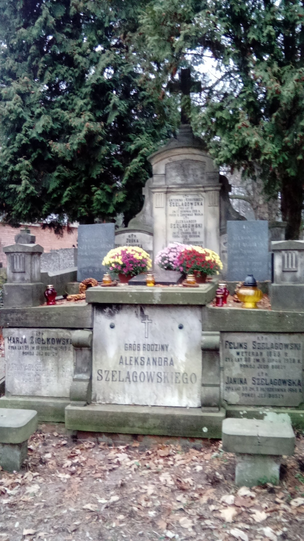 Rückzug vom Friedhof: Stadt Wolfenbüttel bietet keine Grabpflege mehr an