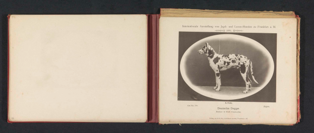 Ein offenes Buch mit dem Titel "Internationale Ausstellung von Jagd- und Luxushunden in Frankfurt a.M." mit einem Schwarz-Weiß-Foto eines Hundes und begleitendem Text.