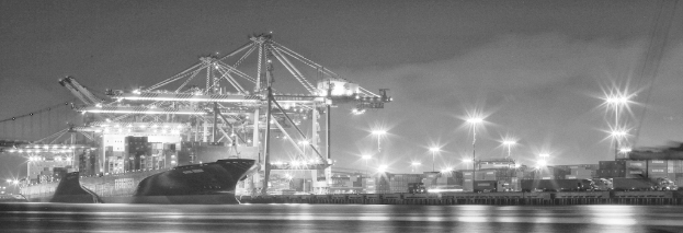 Ein Schiffbauunternehmen mit Metallkonstruktionen, Laternen, Containern und Schiffen.