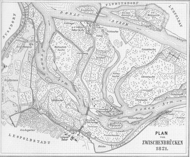 Schwarze und weiße Karte der Stadt Zwischenbrucken aus dem Jahr 1821, die detaillierte Straßen und Textanmerkungen zeigt.